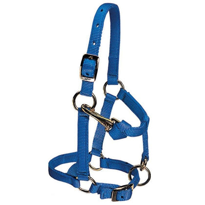 Weaver Mini Adj Nylon Halter Brass