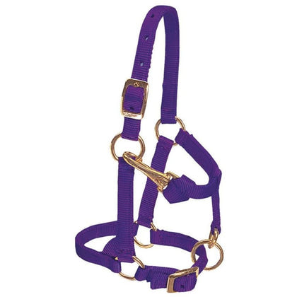 Weaver Mini Adj Nylon Halter Brass