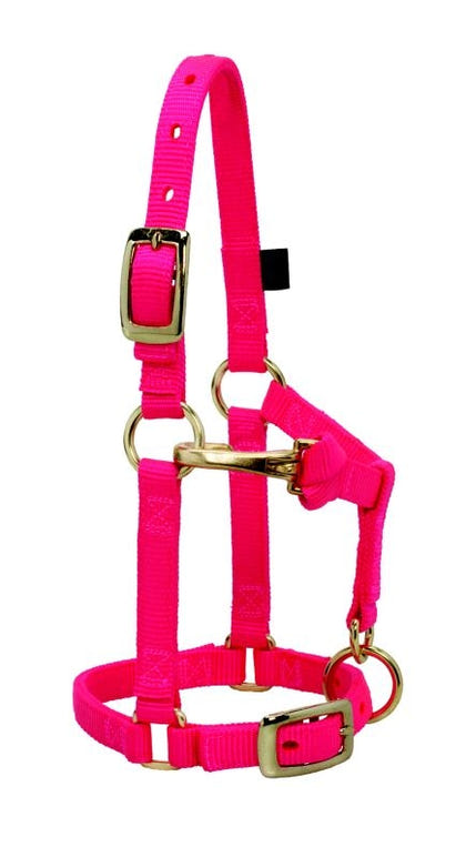 Weaver Mini Adj Nylon Halter Brass