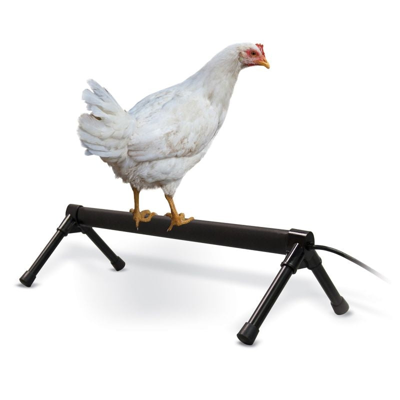 K & H Thermo-Chicken Perch