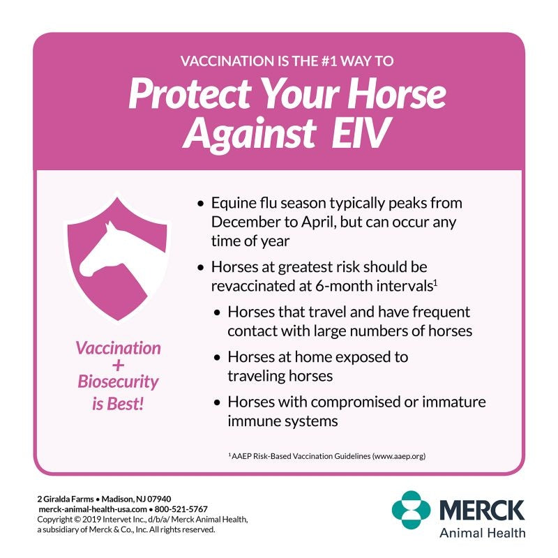 Merck Prestige 4 Vaccine Multi Pack 7 Dose