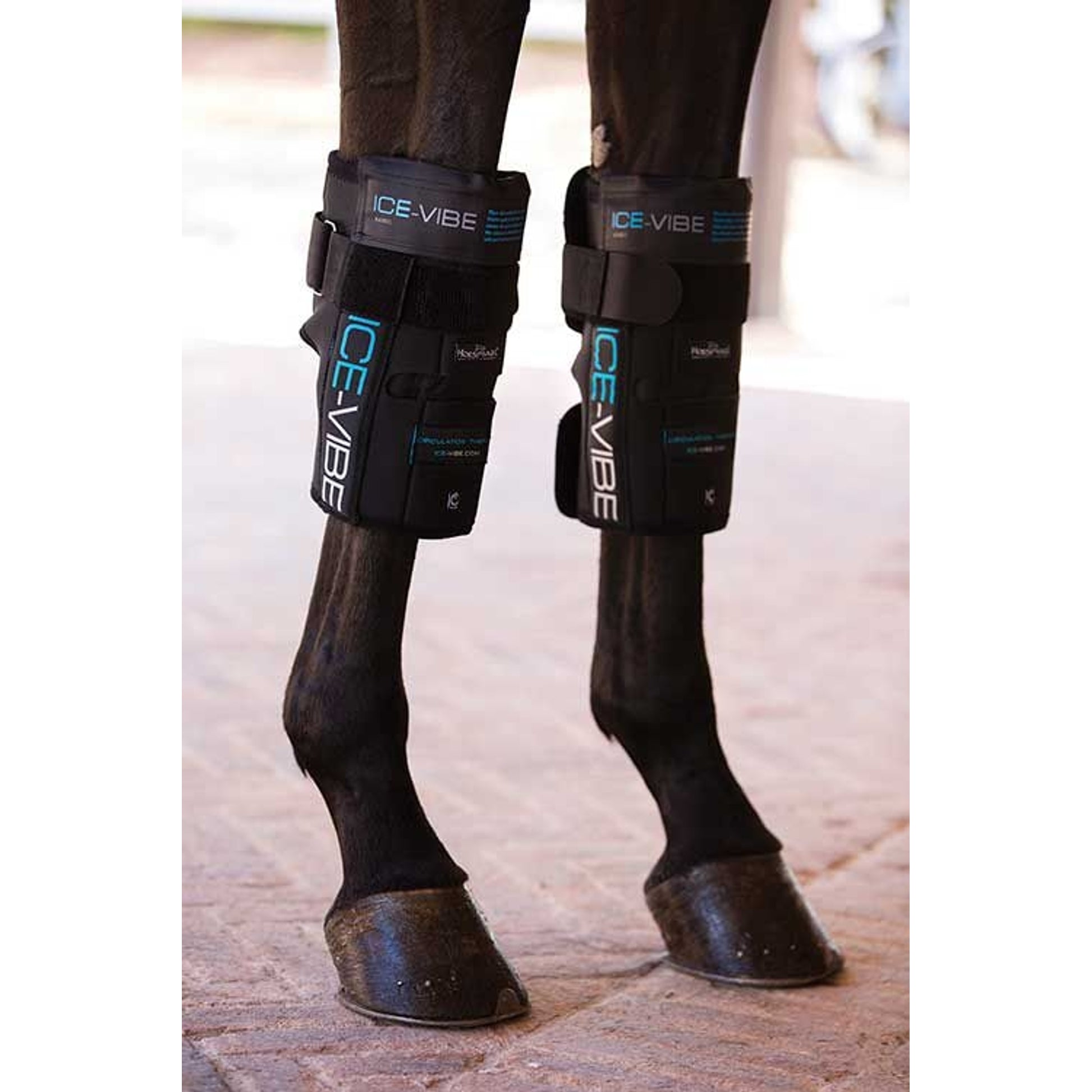 Horseware Ice-Vibe Knee Wrap
