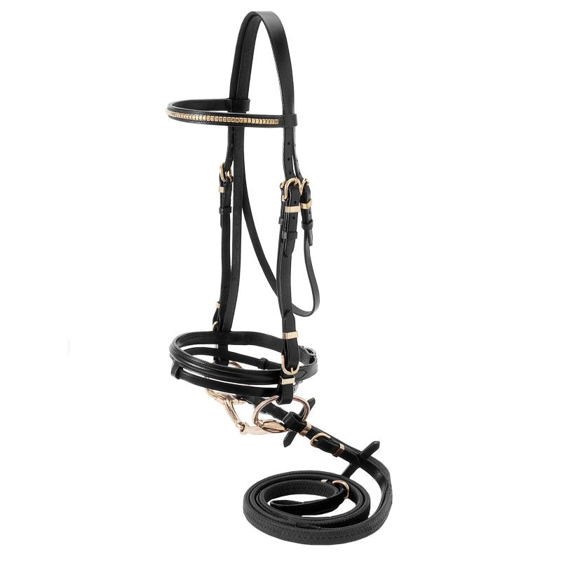 Silver Fox Flash Bridle with Brass Browband