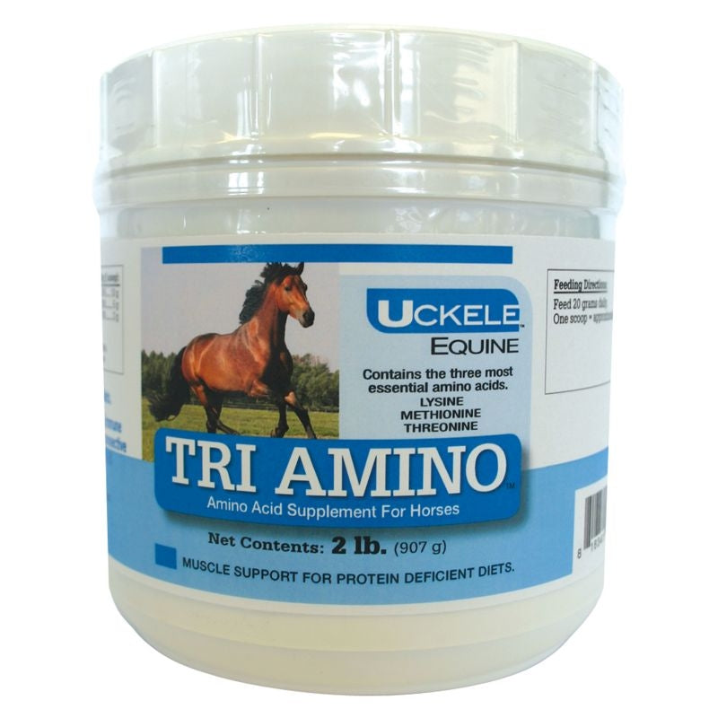 SmartEquine Tri-Amino Supplement