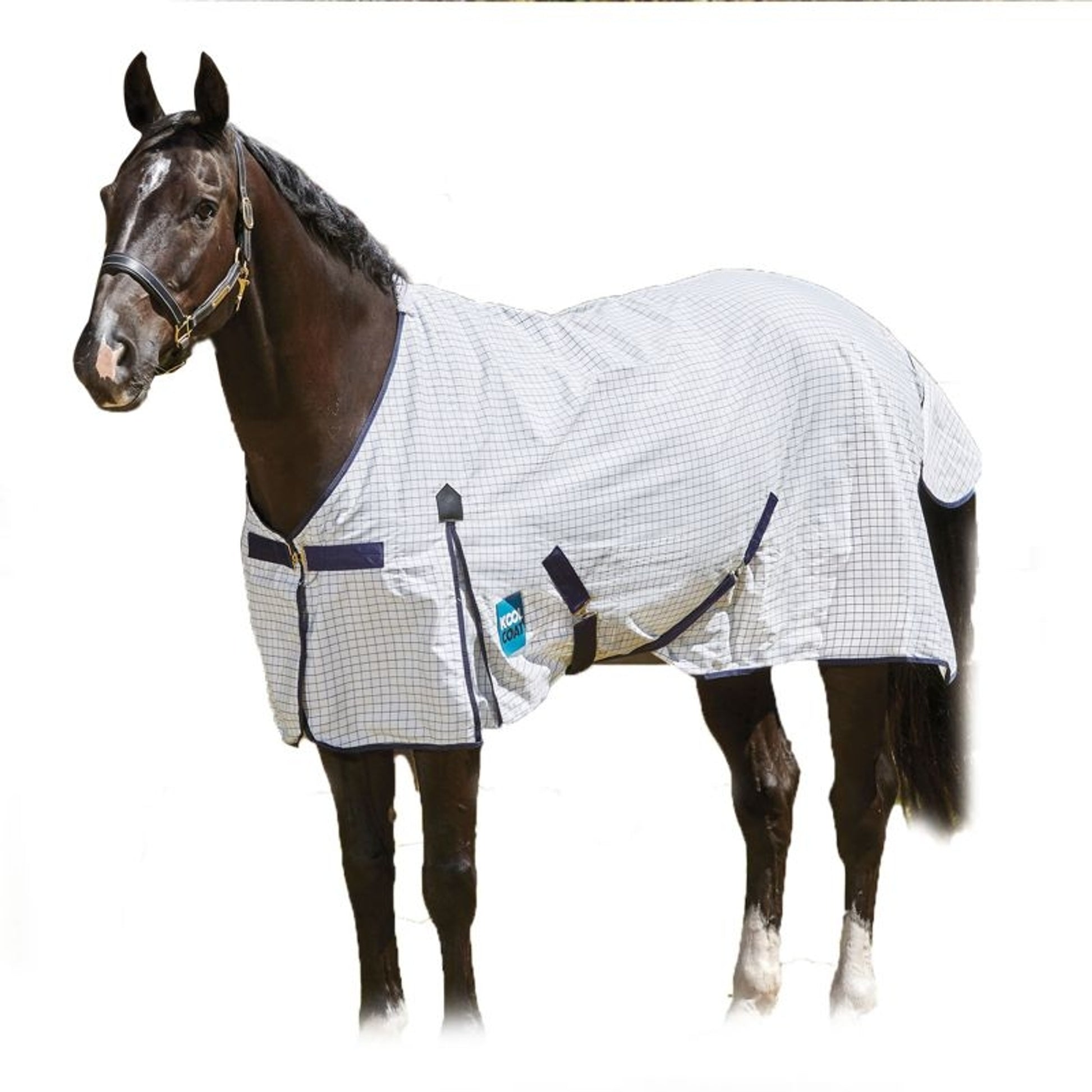 Kool Coat Classic Std Neck Fly Sheet 72 White Navy