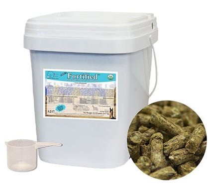 A.B.C.s Fortified Equine Supplement