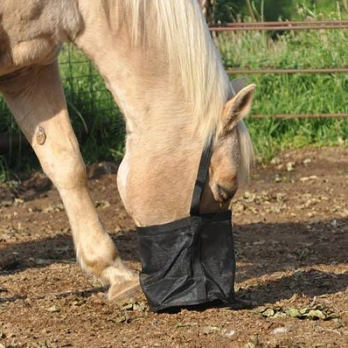 Cashel Feed Rite Bag