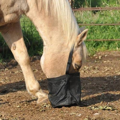 Cashel Feed Rite Bag