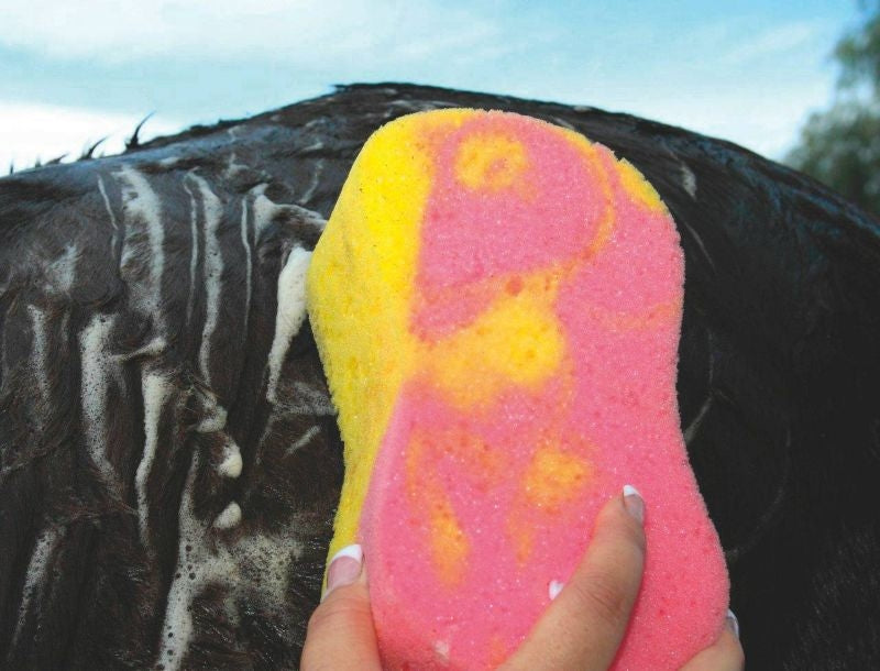 Tie Dye Sponge