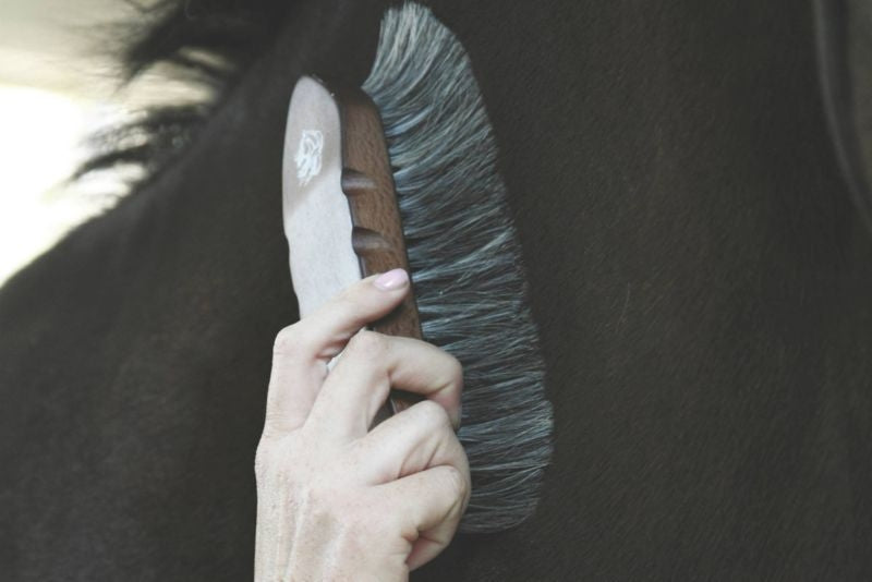 Wood Handle 7.5 Inch Horse Hair Brush