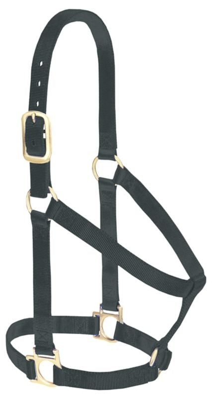Weaver Basic Nylon Halter