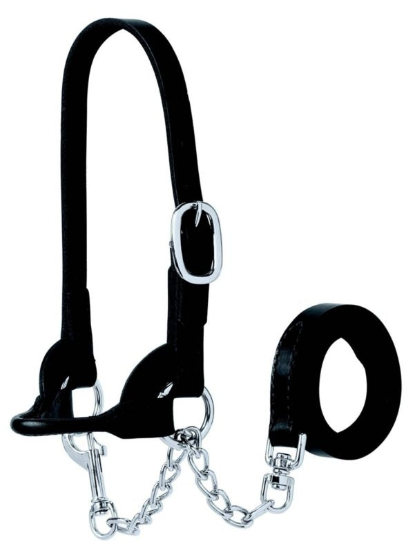 Weaver Club Calf/Sheep Halter