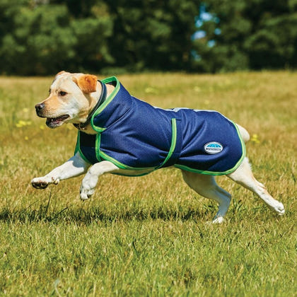 WeatherBeeta Parka 1200D Deluxe Dog Coat