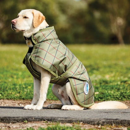 WeatherBeeta Parka 1200D Deluxe Dog Coat