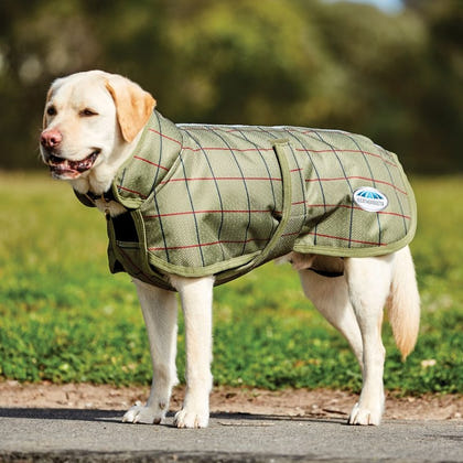 WeatherBeeta Parka 1200D Deluxe Dog Coat