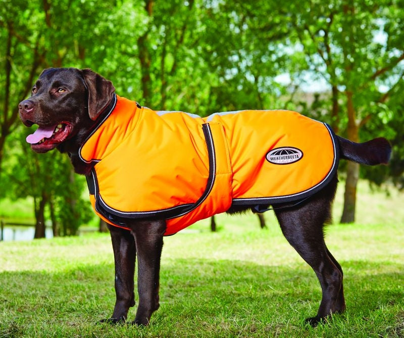 Weatherbeeta Reflective Parka 300D Deluxe Lite Dog Coat