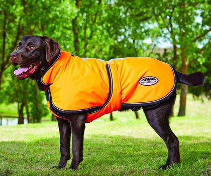 Weatherbeeta Reflective Parka 300D Deluxe Lite Dog Coat