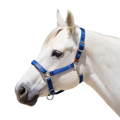 Kensington Breakaway Halter