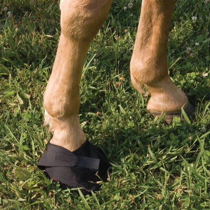 Hoof Wraps Brand Bandage