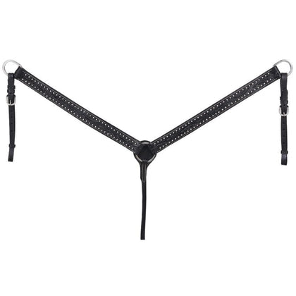 King Series Braden with Silver Breast Collar