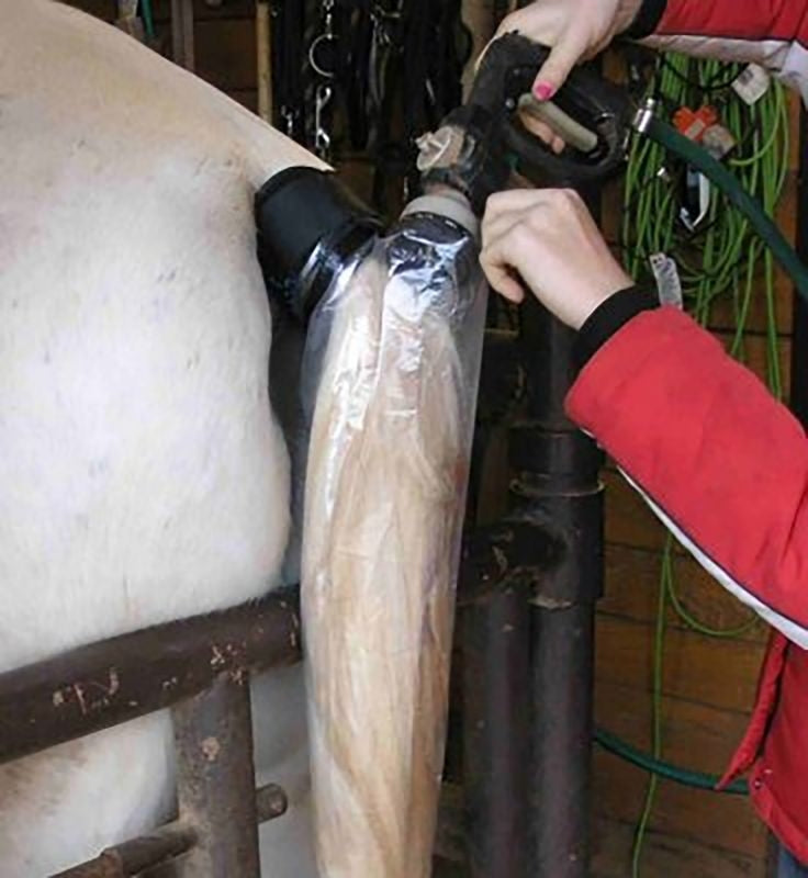 Horse Spa Tail Bucket Starter Kit