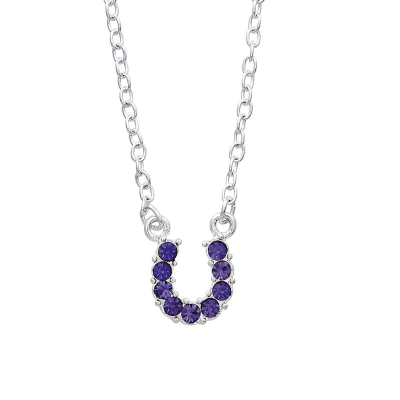Horseshoe Necklace with Crystals