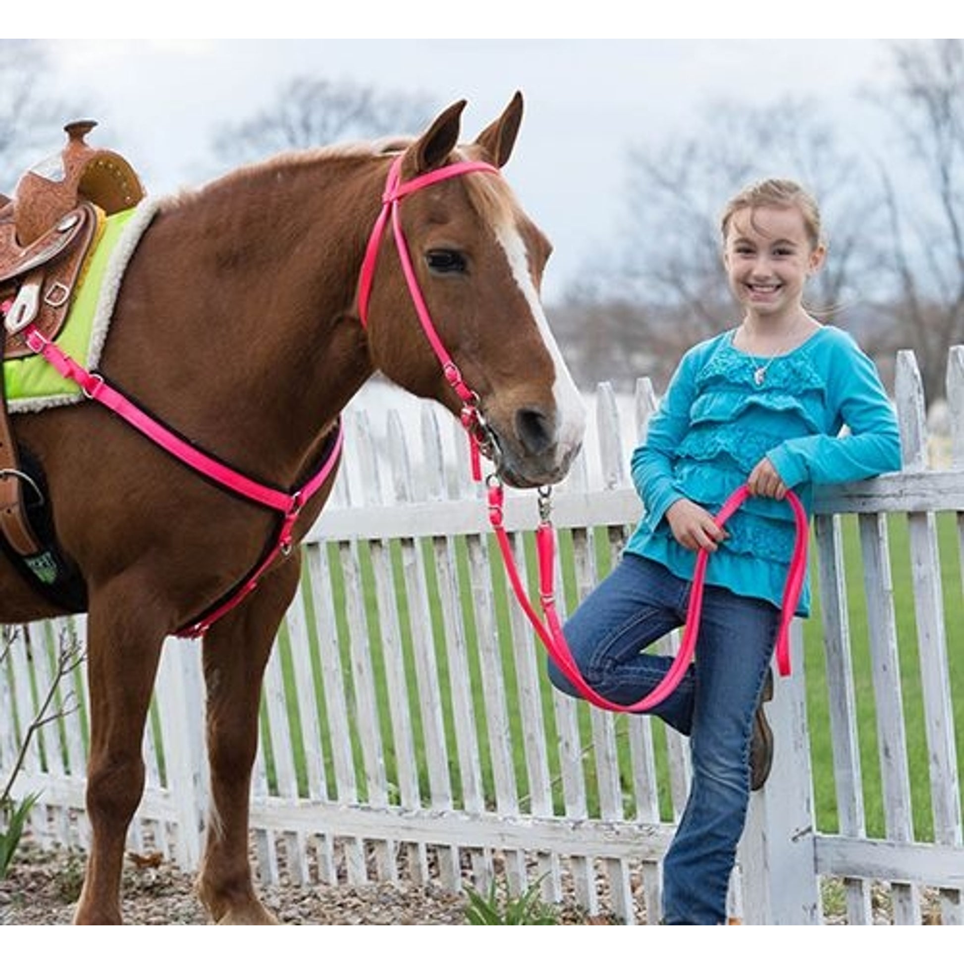 Weaver Nylon Browband Headstall