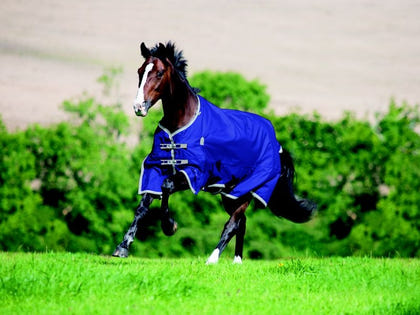 Shires Highlander Plus Lite Standard