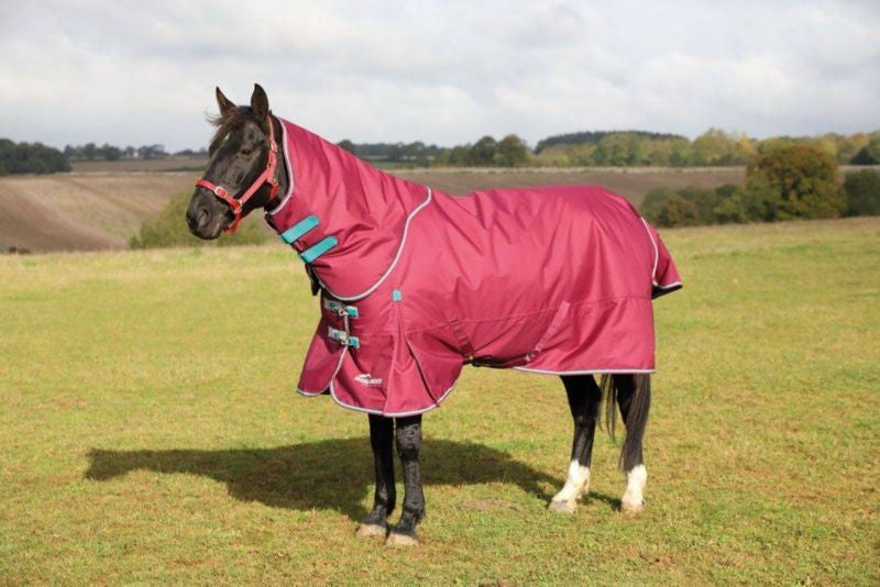 Shires Highlander Plus 300g Blanket