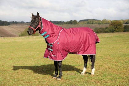 Shires Highlander Plus 300g Blanket