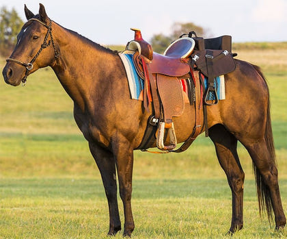 Mustang Ride with Me Seat with Stirrups