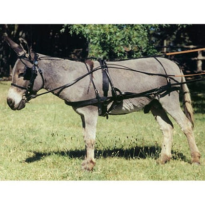 Ozark Leather Pleasure Harness