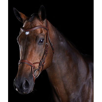 Collegiate ComFiTec Training Bridle