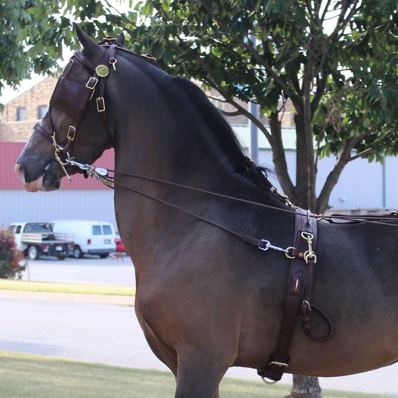 Ozark Kildow Driving Headstall No Blinders