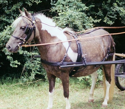TE023678_03.jpg