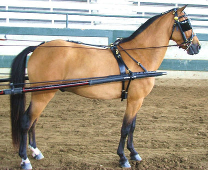 TE023702_04.jpg