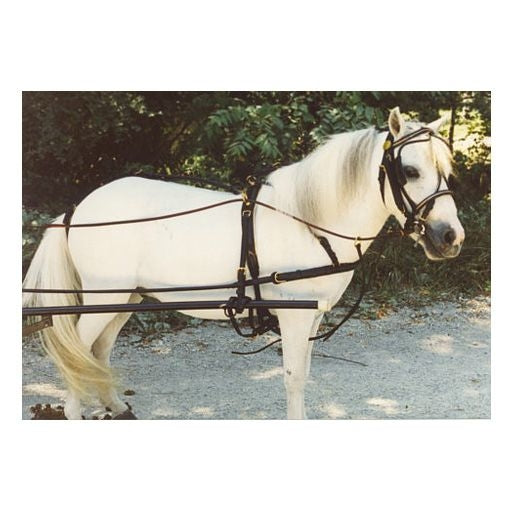 Ozark Mini/Pony Show Harness