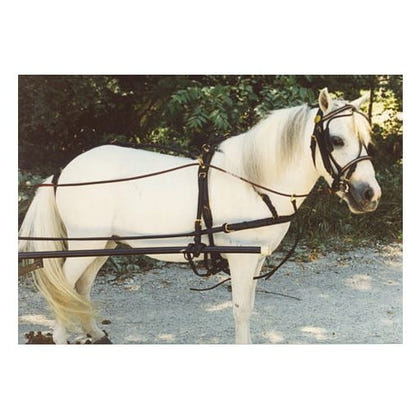 Ozark Mini/Pony Show Harness