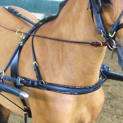 Ozark Mini/Pony Show Harness