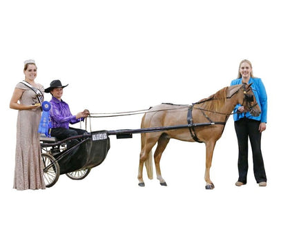 Ozark Mini/Pony Show Harness