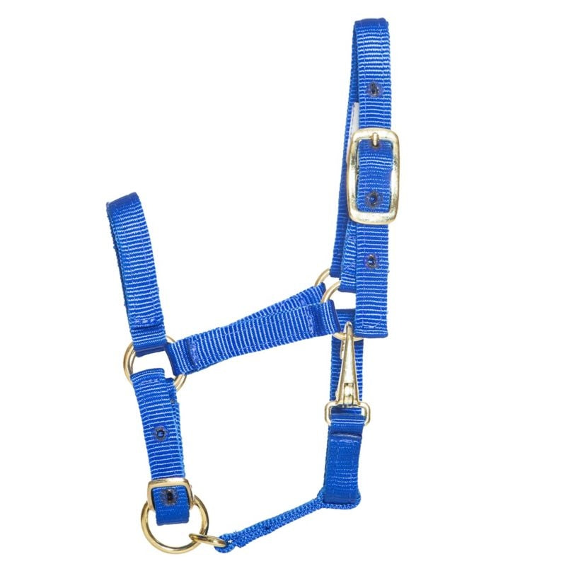 Ozark Mini/Pony Stable Halter