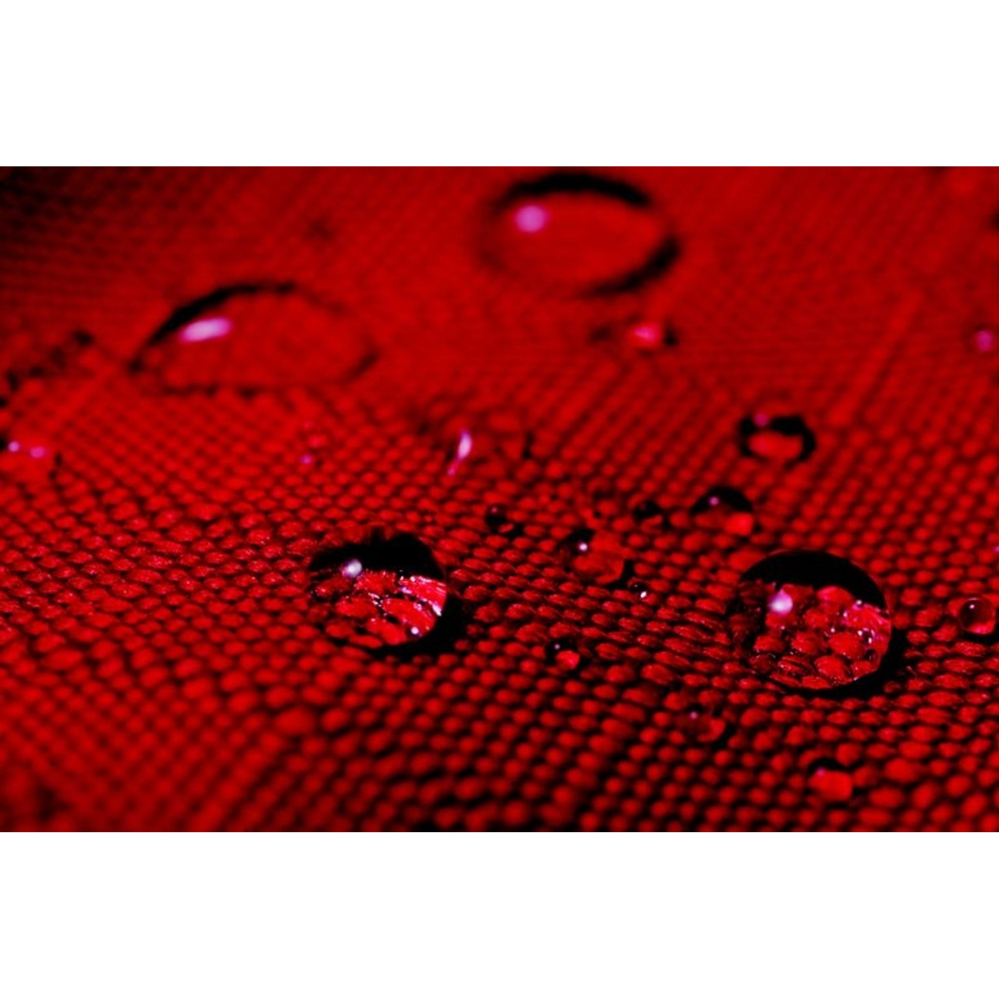 TE023752_RED_03.jpg