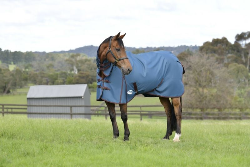 Weatherbeeta ComFiTec Classic Combo Neck Medium