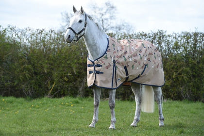 Weatherbeeta ComFiTec Essential Standard Neck Medium Turnout Blanket
