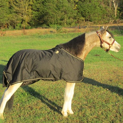 Ozark Mini/Pony Light Waterproof Blanket