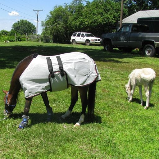 Ozark Mini/Pony Lt Wt Fly Sheet