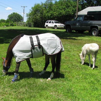 Ozark Mini/Pony Lt Wt Fly Sheet