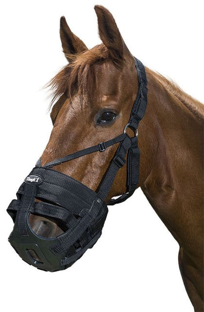 Tough1 Muzzle Replacement Crown/Chin Pad Set