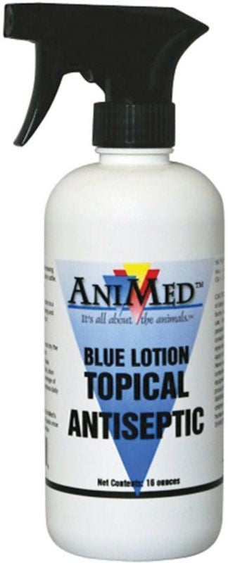 AniMed Blue Lotion Topical Antiseptic 16 oz