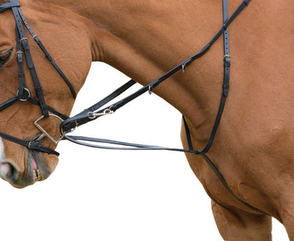 Shires Avignon German Martingale